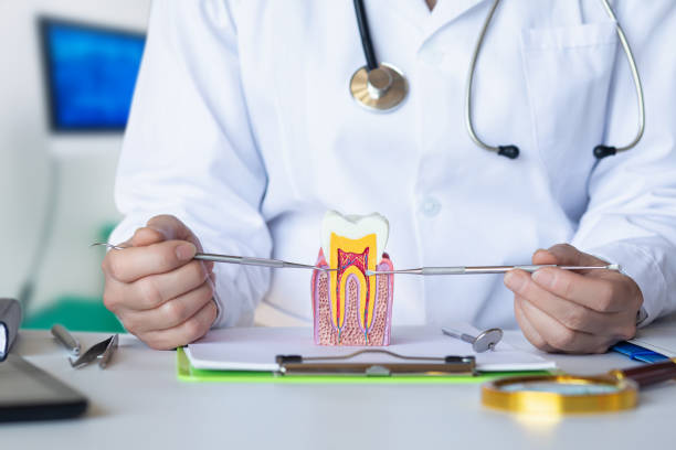 Best Cracked Tooth Emergency Dentist  in Callaway, MD